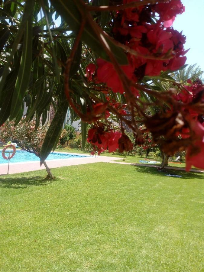 Studio Hannibal 1 Διαμέρισμα Cala de Finestrat Εξωτερικό φωτογραφία